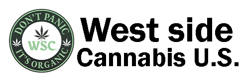logo dark